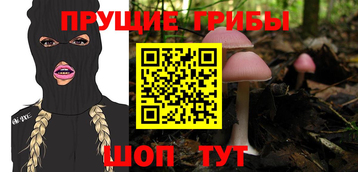 Галлюциногенные грибы GOLDEN TEACHER Белогорск